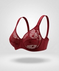 Бюстгальтер Acousma U6145DH бордовый