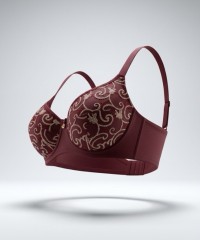 Бюстгальтер Finikin 5016E бордовый