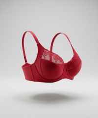 Бюстгальтер Finikin 7005D бордовый