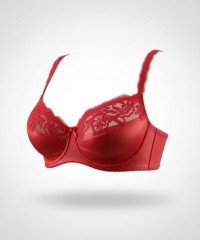 Бюстгальтер Finikin 7017D красный